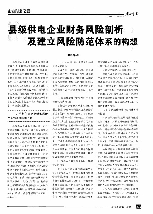 县级供电企业财务风险剖析及建立风险防范体系的构想