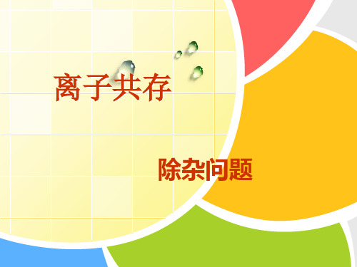 九年级化学离子共存问题和除杂问题