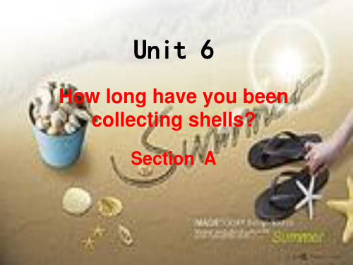 初中英语八年级下册Unit6 How long have you been collecting shells-0Section  A