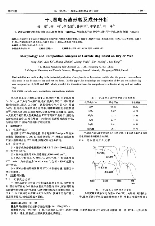 干、湿电石渣形貌及成分分析
