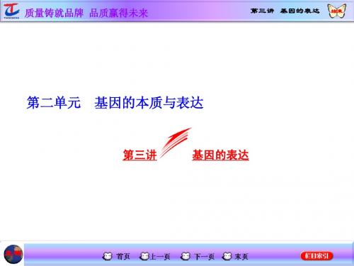 【三维设计】2016届高三生物一轮复习课件：必修2 第2单元 第三讲 基因的表达