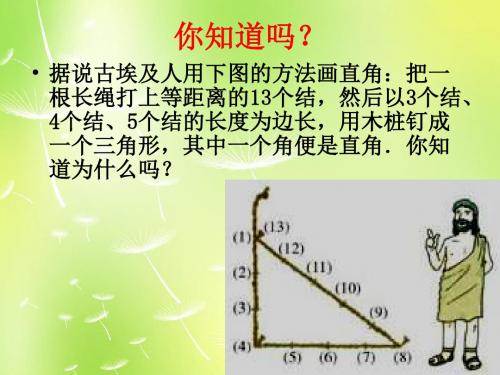 2019年秋苏科初中数学八年级上册《3.2 勾股定理的逆定理》PPT课件 (5).ppt