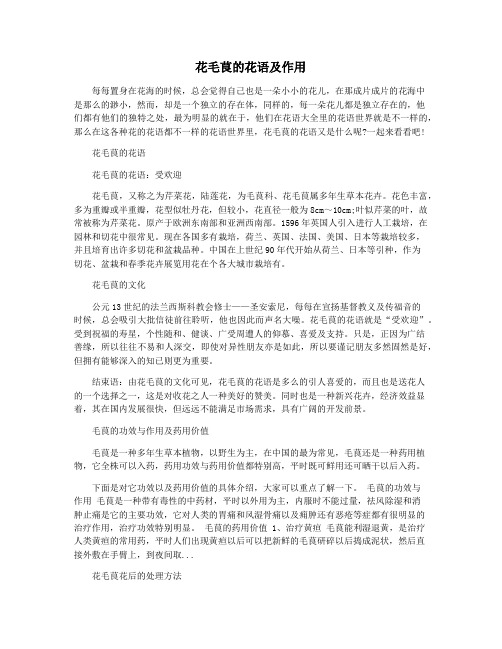 花毛茛的花语及作用
