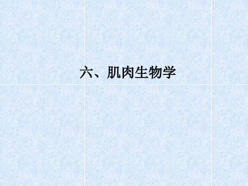 肌肉生物力学1