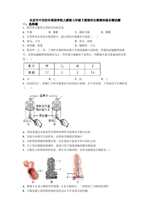 北京市中关村外国语学校人教版七年级下册期末生物期末综合测试题