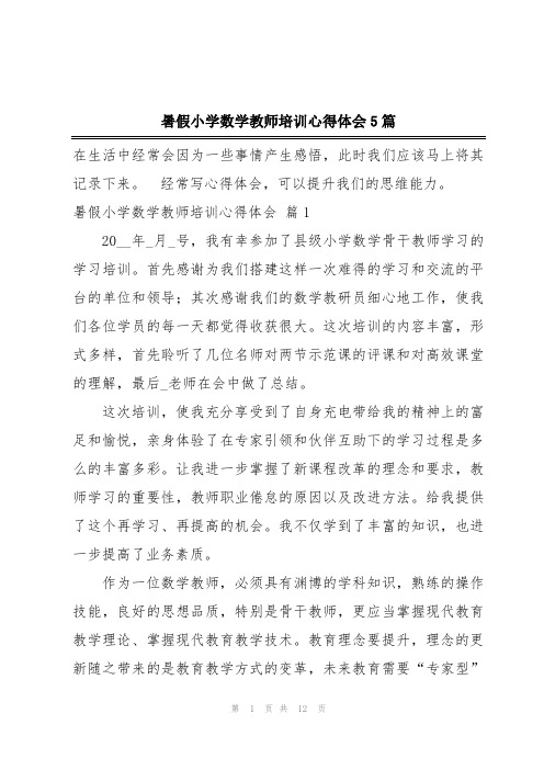 暑假小学数学教师培训心得体会5篇