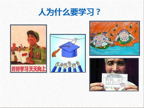 教育心理学第八章  学习动机