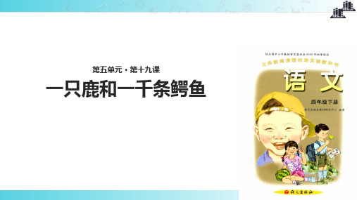 2021语文A版小学语文四年级下册《一只鹿和一千条鳄鱼》教学课件