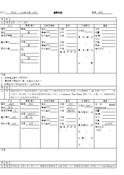 全陪日志(样版)