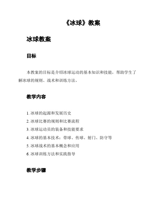 《冰球》教案