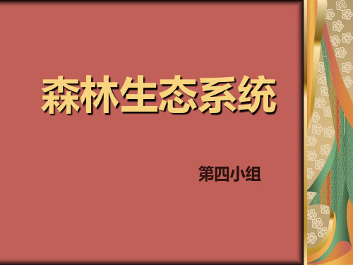 森林生态系统
