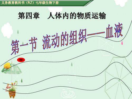 流动的组织——血液PPT课件28 人教版