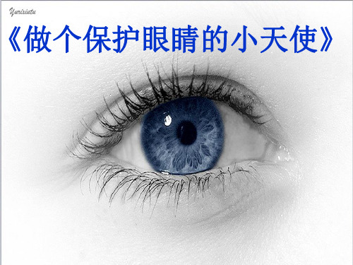 小学综合实践活动案例-让眼睛更明亮