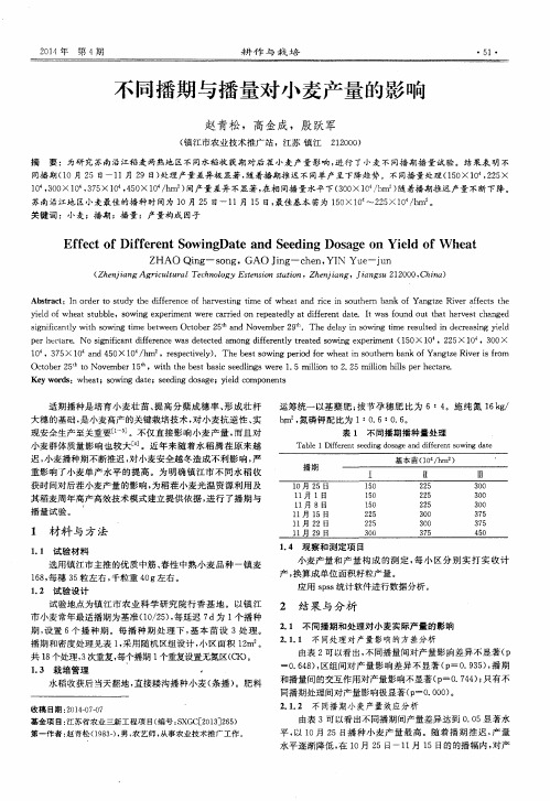 不同播期与播量对小麦产量的影响