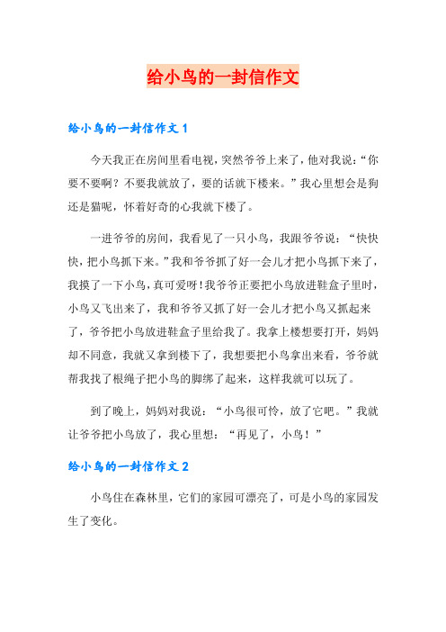 给小鸟的一封信作文