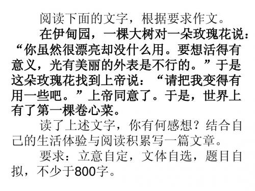 玫瑰与卷心菜