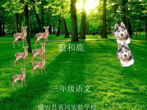 狼和鹿ppt
