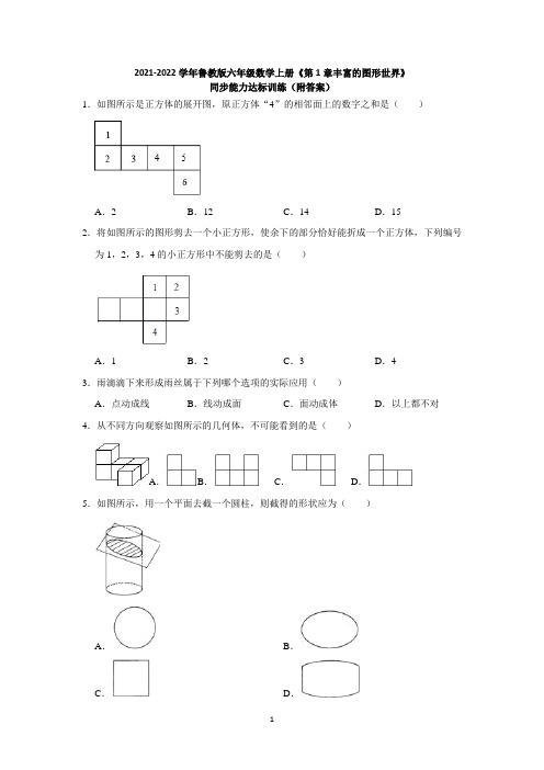 《第1章丰富的图形世界》同步能力达标训练鲁教版(五四制)六年级数学上册