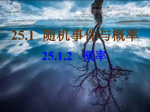 25.1.2 概率(第2课时)--例3--扫雷