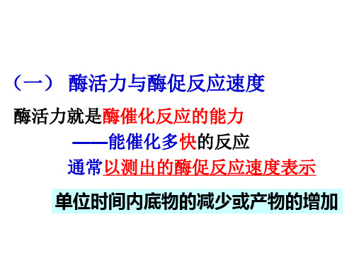 酶的活力测定和分离纯化