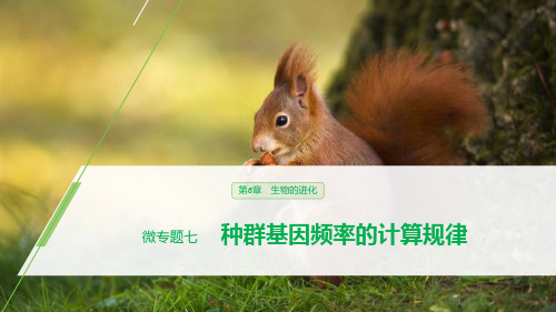 《种群基因频率的计算规律》生物的进化PPT