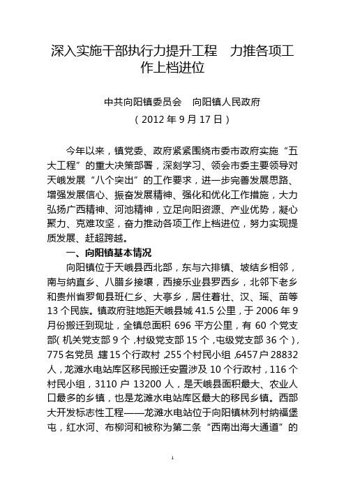 向市委主要领导汇报的材料