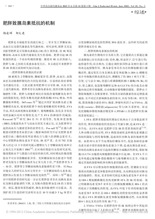 肥胖致胰岛素抵抗的机制_杨凌辉