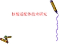 核酸适配体技术研究