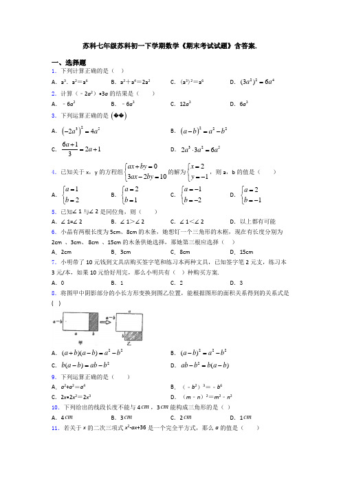 苏科七年级苏科初一下学期数学《期末考试试题》含答案.
