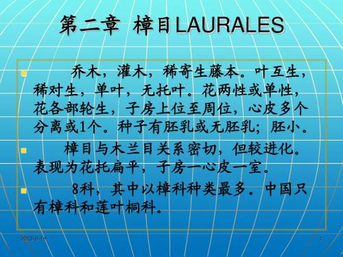 时代雅博庭院设计