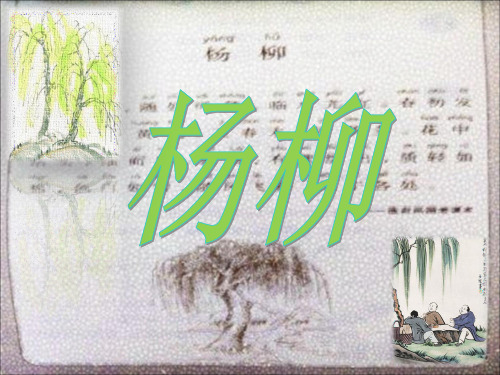 小古文杨柳[优质ppt]