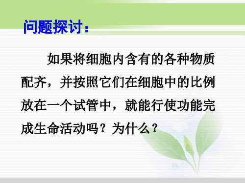 必修1 第3章 第1节细胞膜——系统的边界(定稿)
