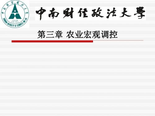 农业经济学课件5农业宏观调控(精)