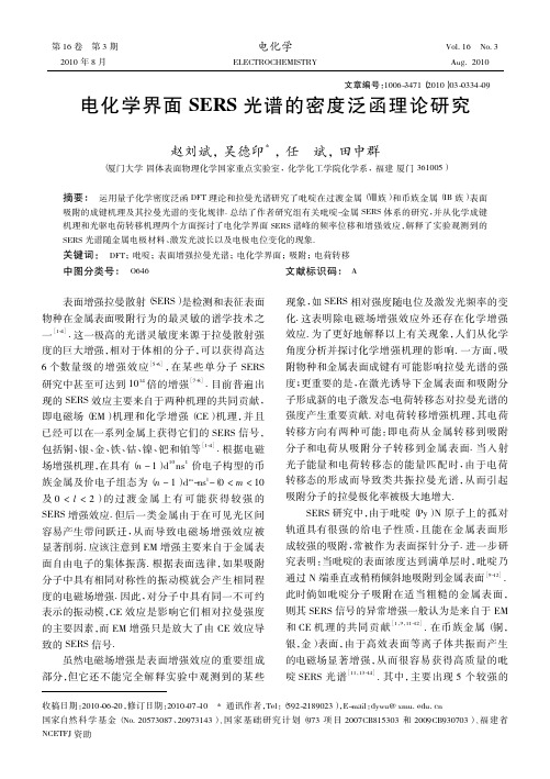 电化学界面SERS光谱的密度泛函理论研究