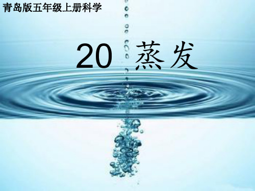 五年级-科学《蒸发》课件