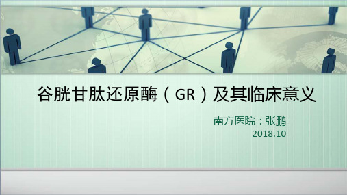 谷胱甘肽还原酶(GR)及其临床意义