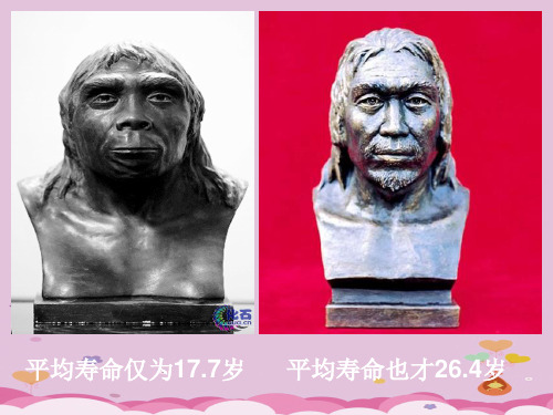 原始的农耕生活PPT课件27 人教版优秀课件