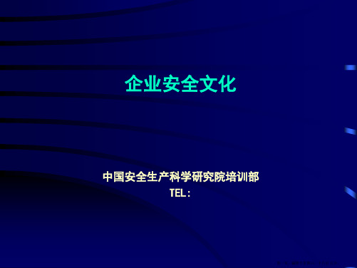 企业安全文化建设(南方电网)