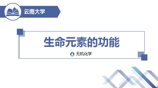 常量元素在身体中的作用——生命元素的功能