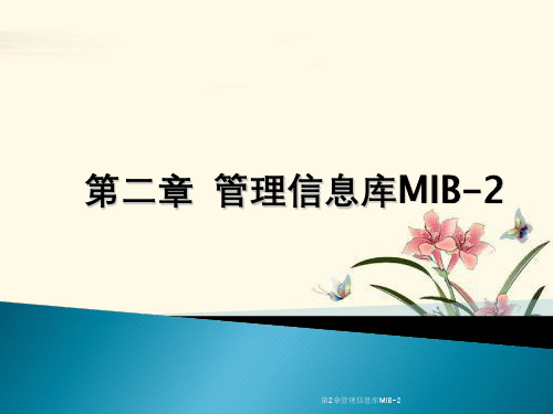 第2章管理信息库MIB-2