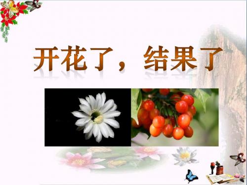 《开花了,结果了》植物的生长变化 精品PPT课件(共16张)