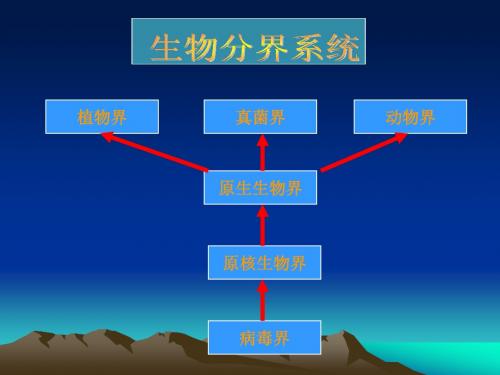 园艺植物病害病原-真菌