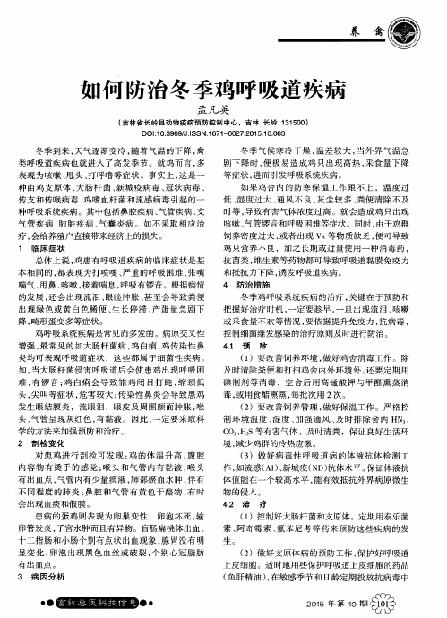 如何防治冬季鸡呼吸道疾病