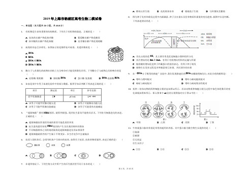 2019年上海市杨浦区高考生物二模试卷-(解析版)