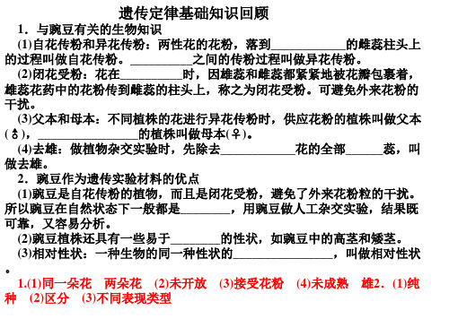 遗传定律基础ppt_PPT幻灯片