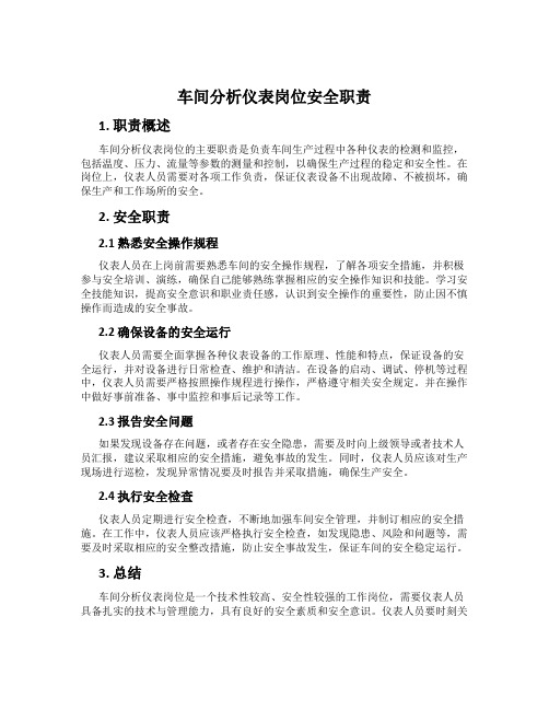 车间分析仪表岗位安全职责