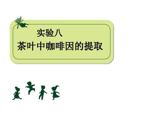 茶叶中咖啡因的提取.ppt