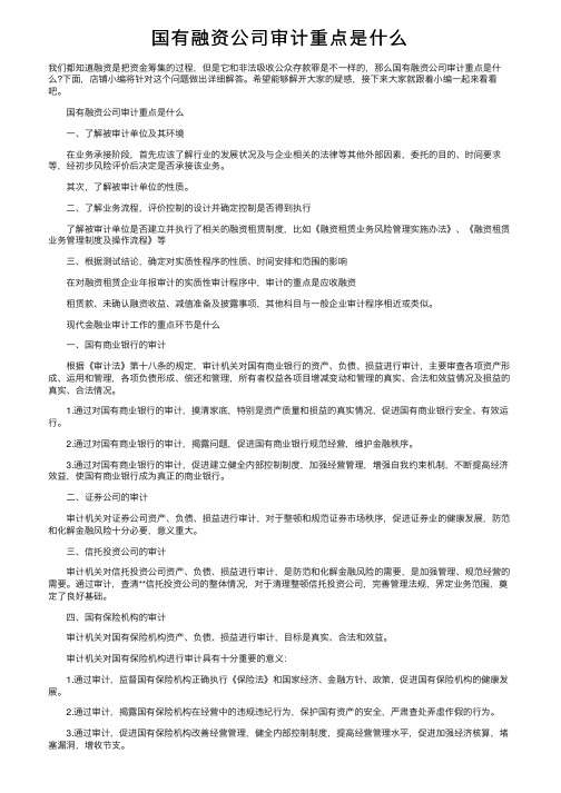 国有融资公司审计重点是什么