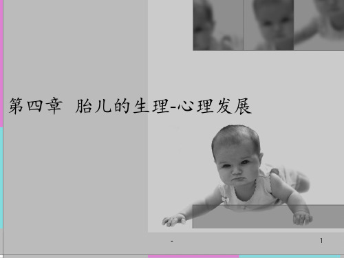 第四章--胎儿心理发展PPT课件