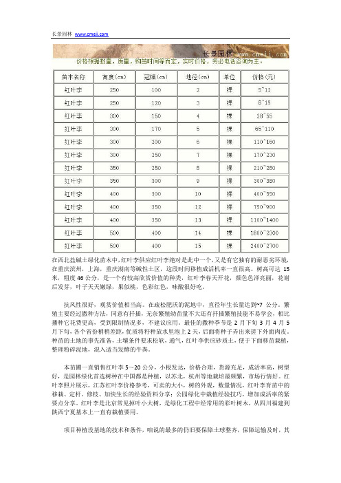 红叶李供应